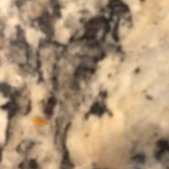 sunshinedaisy7